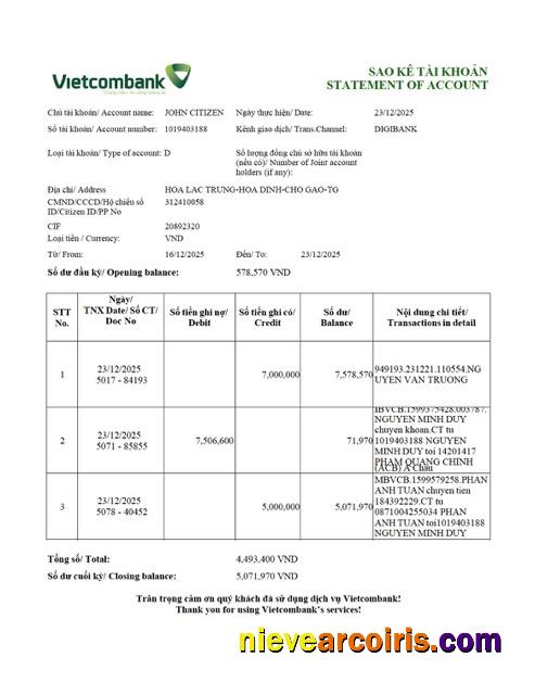 Vietnam Vietcombank statement of account Word and PDF, version 2